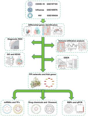 Bioinformatics and system biology approach to identify the influences among COVID-19, influenza, and HIV on the regulation of gene expression